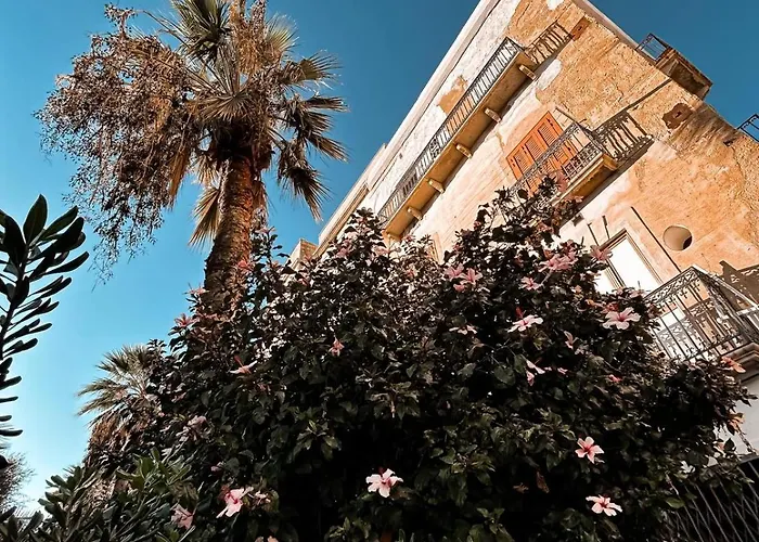 Il Mozzo E L'ammiraglio - Mozzo *